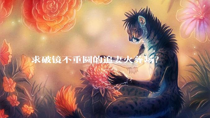 求破镜不重圆的追妻火葬场？